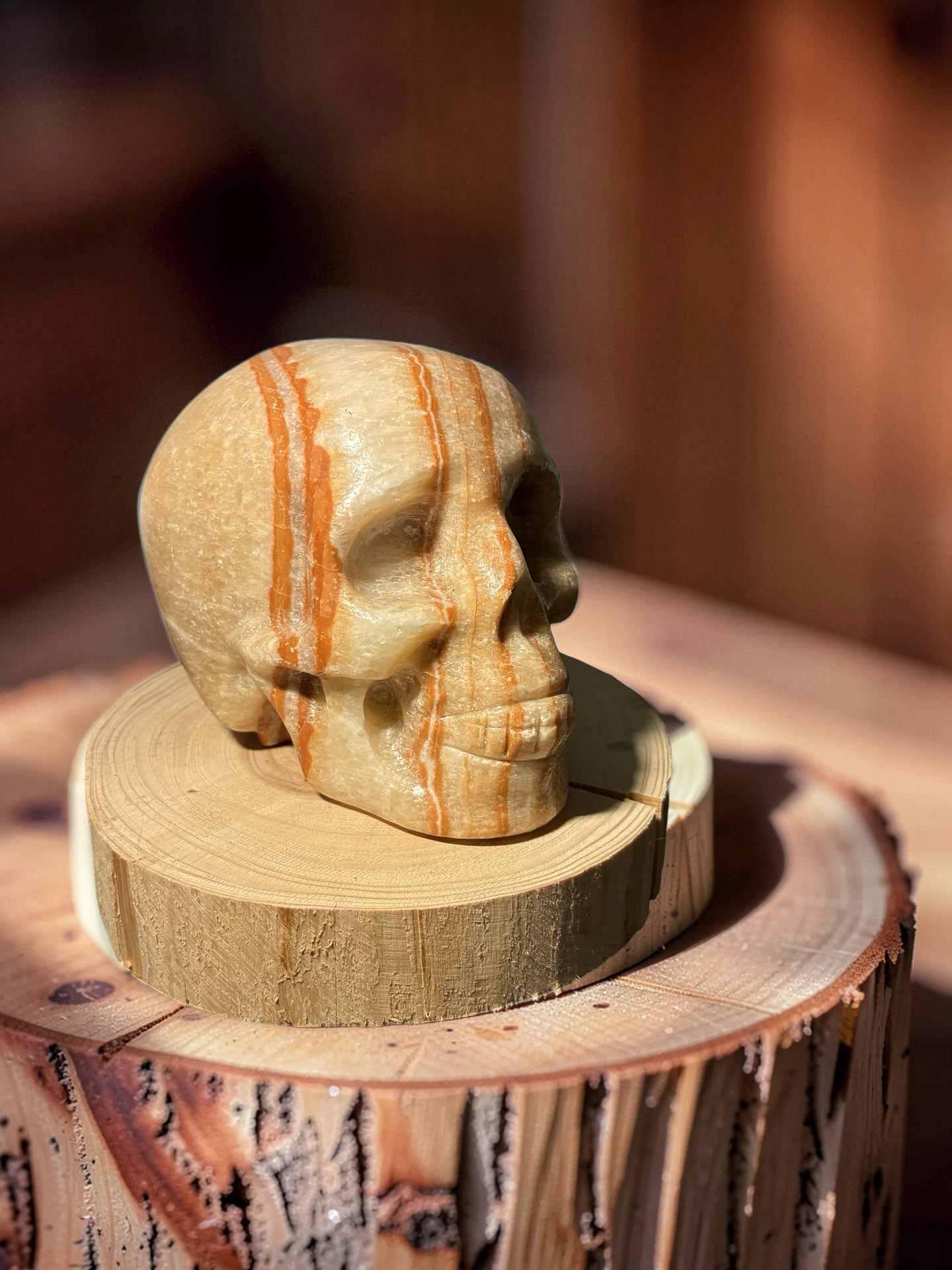 Eastern Jasper skull
