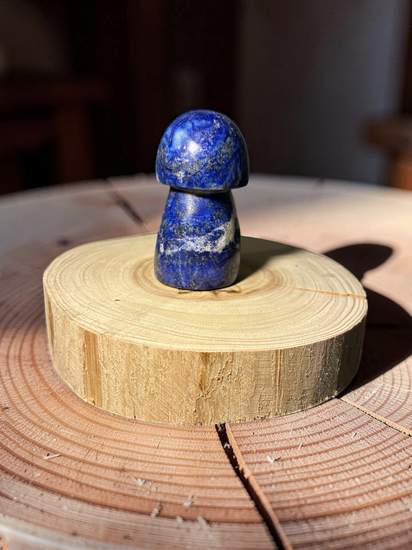 Lapis Lazuli mushroom