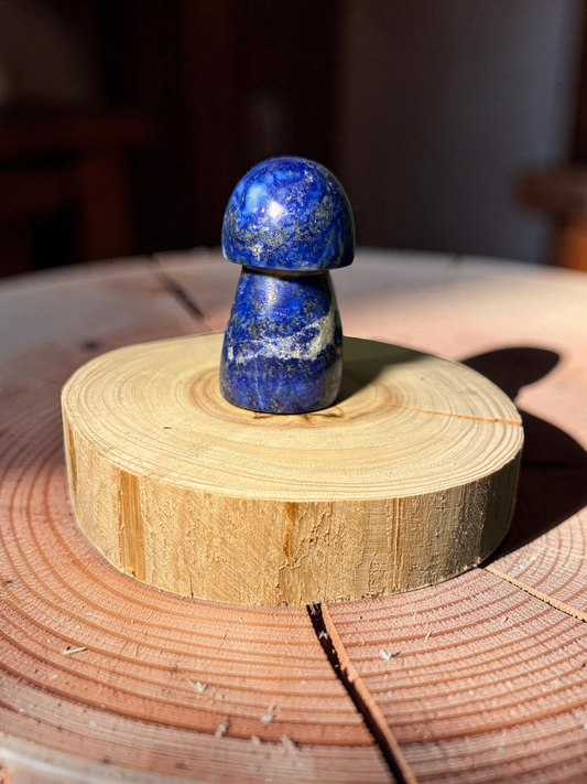 Lapis Lazuli mushroom